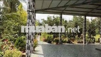Cần bán miếng đất vườn sẵn thổ cư sẵn nhà cấp 4 sổ hồng riêng