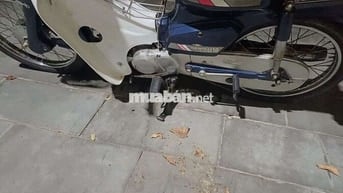 Honda Super Cub 50cc Trắng Xanh