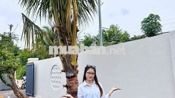 TOP NHÀ NGANG RỘNG HƠN 12M ngay tại P.Long Khánh