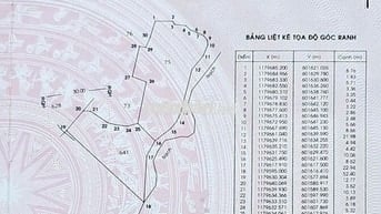 Bán nhanh 2.229,9m² đất nông nghiệp Nhơn Đức Nhà Bè – đang nuôi tôm.