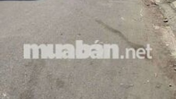  bán nhà lê văn quới 60m2 HCĐ, SHR
KD đa ngành, dòng tiền sẵn 12tr/th