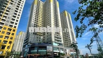 5.2tr/ tháng có ngay căn hộ 2PN,2WC Emerald, Thống Nhất 