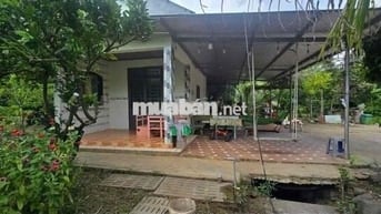 Chủ về thành phố ở với con bán nhanh căn nhà tâm huyết 180tr