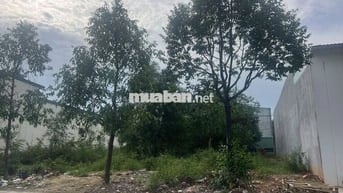 CHỦ GỬI ĐẤT BÁN KCN MỸ PHƯỚC 3 DIỆN TÍCH LỚN 360M2/ ĐẦU TƯ GIÁ 810TR