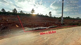 Công ty Đấu giá hợp danh Lam Sơn Sài Gòn thông báo đấu giá tài sản