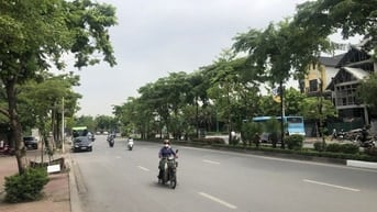Phố Tư Đình Long Biên Ô TÔ Tránh – 117 m2 – Đất – MT 5 M – Giá 28 T