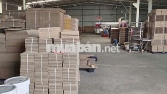 xưởng cho thuê Bình mỹ củ chi giá rẻ