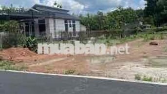 Đất Thổ Cư Bình Dương 418m2, Sổ Sẵn công chứng ngay giá 650tr