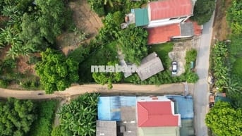 Khu 6 Yên Luật Hạ Hoà PT ~200m2 MT15,8m 100 ONT giá 4xxtr