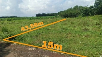 Công ty Đấu giá hợp danh Lam Sơn Sài Gòn thông báo đấu giá tài sản