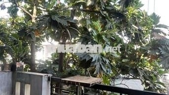 phòng 40m2 ngay đường 25 cách Gigamall 3 phút