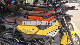 Yamaha PG-1 2024