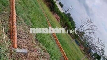 Đất thổ cư 100% diện tích 117m2, sổ hồng riêng chính chủ"