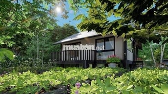 🌿650TR SỞ HỮU NGAY ĐẤT VƯỜN 1.196M² GẦN HỒ – QUY HOẠCH ĐẤT Ở NÔNG THÔN