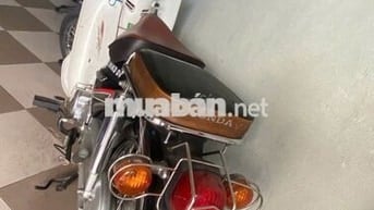 Honda Cub 50cc 2022 Đen, Trắng