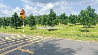Bán vườn mít rộng 1600m² (20*80m, 200m tc) đường nhựa lớn 760tr