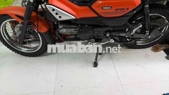 Yamaha PG-1 Cam 1453 km