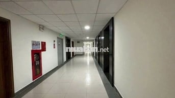 (8446) tecco home An Phú. Lúc đỉnh 1,5 tỷ. Cắt lỗ 201 triệu
