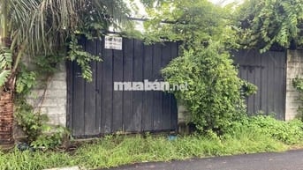 Cho thuê nguyên căn 10m x 35m mặt tiền đường Xóm Hố