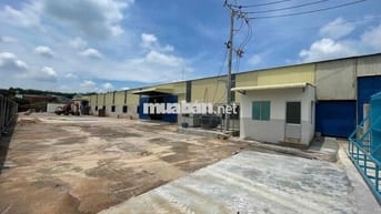 cho thuê xưởng bến cát - bình dương