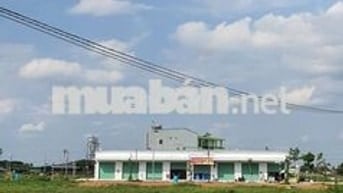 Bán lẻ hoặc sĩ 10 lô thiếu niên 3, Quỹ đất VIP làm kho xưởng lớn.