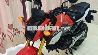 Honda MSX Fi Thái, chínhchủ mới hết rodai mới 99%