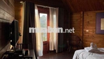 Cho thuê CHDV Đà Lạt vibe full nội thất mới 100% gần chợ Tân Hương