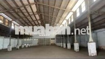 cho thuê kho xưởng khu vực Quận 7