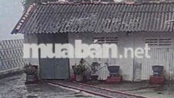 cần bán nhà ở tân nhựt tp hồ chí minh