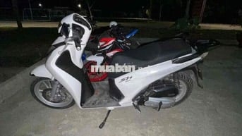 Honda SH Trắng