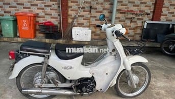 Honda Super Cub 50 Trắng