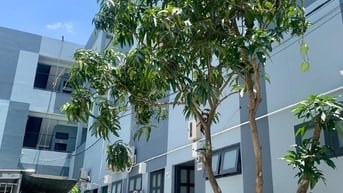 Cho thuê phòng 34m2 có gác, bếp, WC đẹp đường Nguyễn Bình