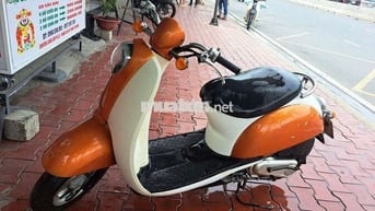 Honda Coppi Cam, Trắng Nhật Bản