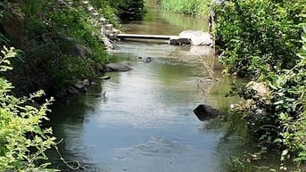 ĐẤT VƯỜN VIEW SUỐI 400M PHÙ HỢP NGHỈ DƯỞNG, SINH THÁI CÁCH ĐÀ LẠT 50KM