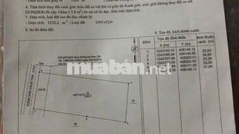 🔥 CẦN TIỀN BÁN NHANH MẢNG ĐẤT THỔ CƯ 1.260M2 – 23X55 – GIÁ CHỈ 2TỶ3