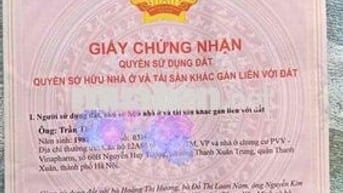 Bán CC Mini Trần Thái Tông, Xuân Thuỷ- Có Sổ, Thoáng Đẹp Giá Rẻ