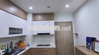 Bán chung cư chính chủ 62m2, Vinhome Ocean Park