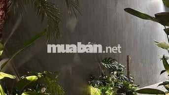 🌿 CHO THUÊ BIỆT THỰ SÂN VƯỜN ĐẲNG CẤP – CẬN KỀ CẦU RỒNG & BIỂN MỸ KHÊ