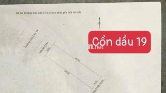 Cặp đất liền kề đường 10m5 Cồn Dầu 19, Hoà Xuân, Đà nẵng ✔️ DT 300m2 (