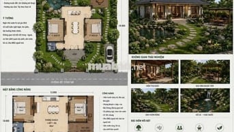 CHÍNH CHỦ CẦN BÁN LÔ ĐẤT NHÀ VƯỜN TẠI THÔN NINH AN, XÃ BÀ NÀ, ĐÀ NẴNG