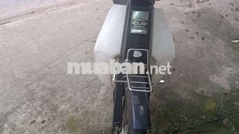 Honda Cub Cổ điển Trắng Xanh