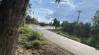 710 m² thổ cư, mặt đường nhựa, gần chợ và trường học.