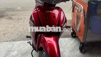 Honda  neo kim dọn phun kiểng biển tp btt