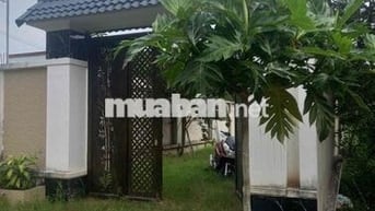 Nhà Vườn 300m2 Củ Chi , cần bán gấp , 2 tỷ 8 thương lượng