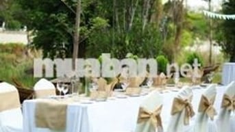 NHÀ LỚN CHO THUÊ CHÍNH CHỦ ,309BIS HUỲNH VĂN BÁNH,P11,Q.PHÚ NHUẬN