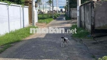 cần bán đất chính chủ dsh 5người