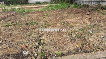 cộng hoà phù linh giá siêu đẹp