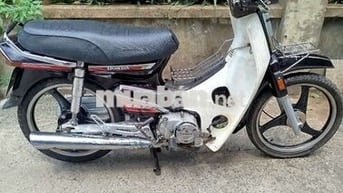 Honda Dream Nâu, Trắng êm