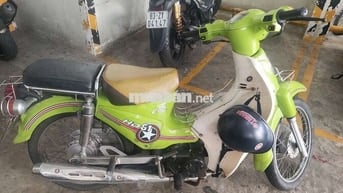 Honda Cub 81 Xanh lá