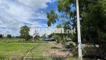 Chính chủ cần bán gấp lô đất Đức Hoà, full thổ cư, sổ hồng chính chủ